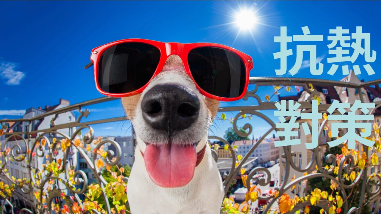 預防熱中暑宣導1