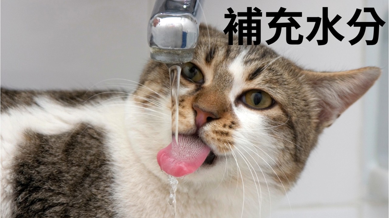 預防熱中暑宣導2