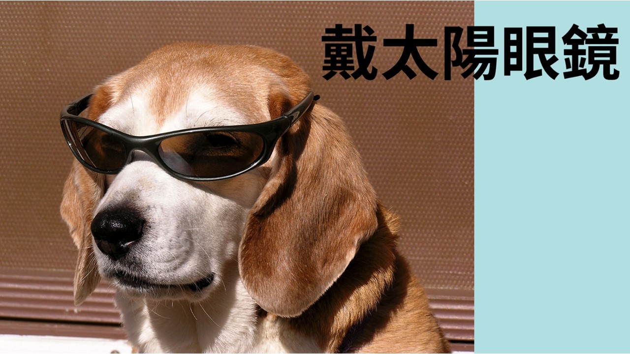 預防熱中暑宣導4