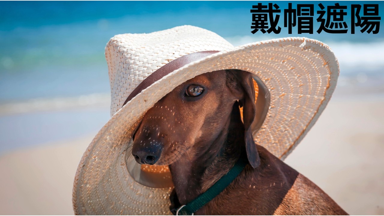 預防熱中暑宣導3