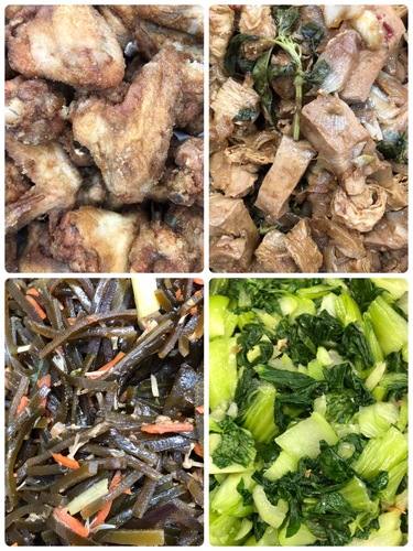雙翼0310.jpg