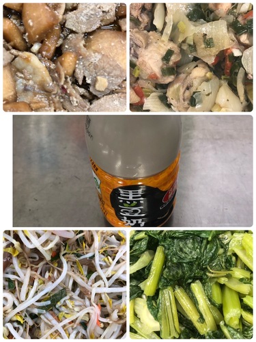 雙翼1031