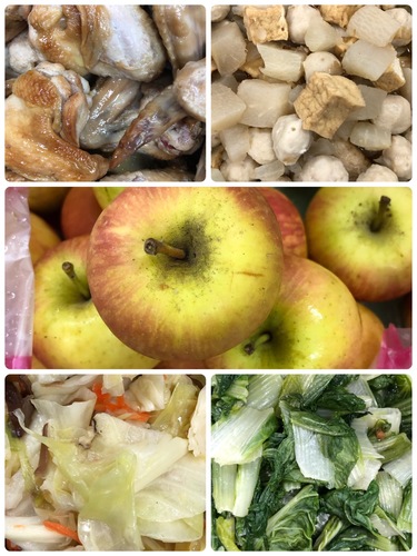 雙翼1101