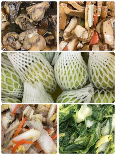 雙翼1103