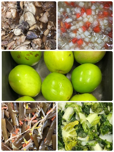 雙翼1215.jpg