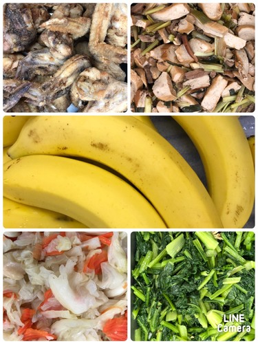1091013雙翼