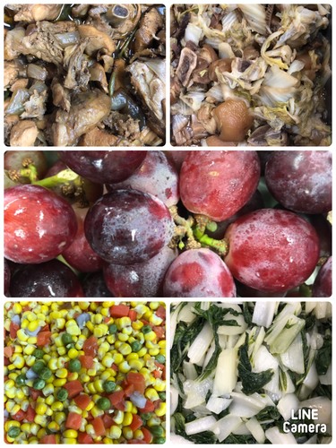 雙翼1091201