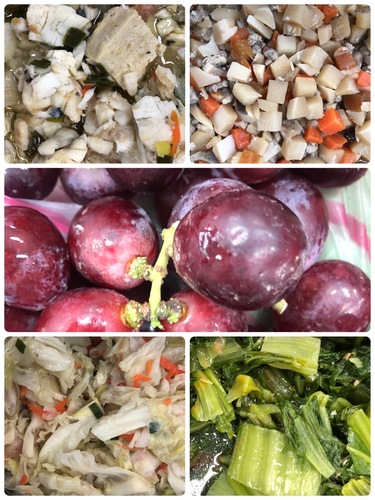 雙翼0103.jpg