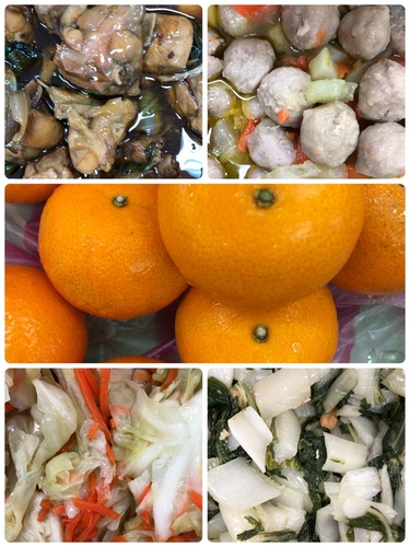 雙翼1004