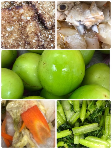 雙翼0112.jpg
