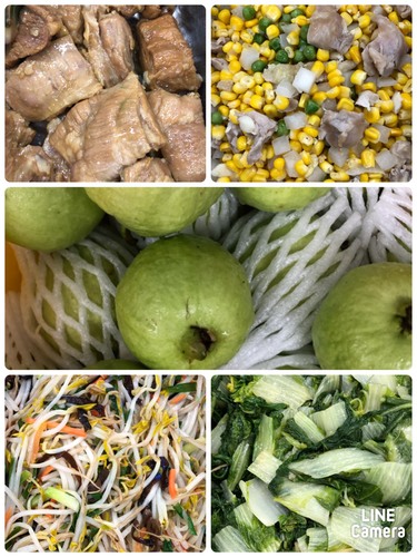 雙翼1091105
